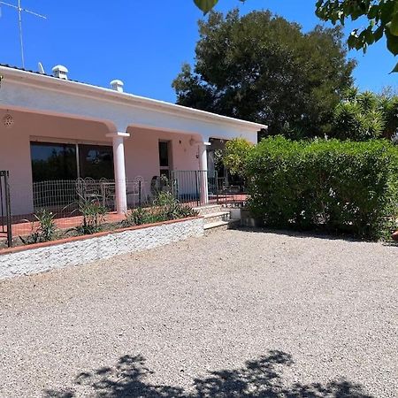 Beautiful Private Villa With Pool, Boliqueime, Loule المظهر الخارجي الصورة