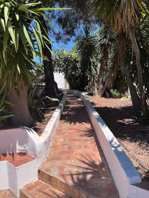 Beautiful Private Villa With Pool, Boliqueime, Loule المظهر الخارجي الصورة