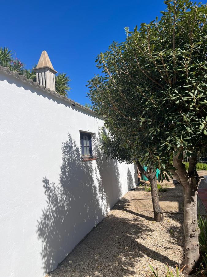 Beautiful Private Villa With Pool, Boliqueime, Loule المظهر الخارجي الصورة