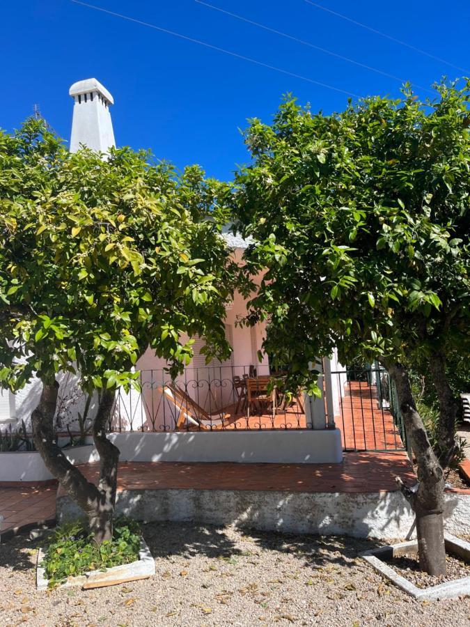 Beautiful Private Villa With Pool, Boliqueime, Loule المظهر الخارجي الصورة