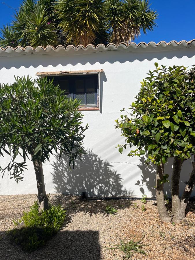 Beautiful Private Villa With Pool, Boliqueime, Loule المظهر الخارجي الصورة